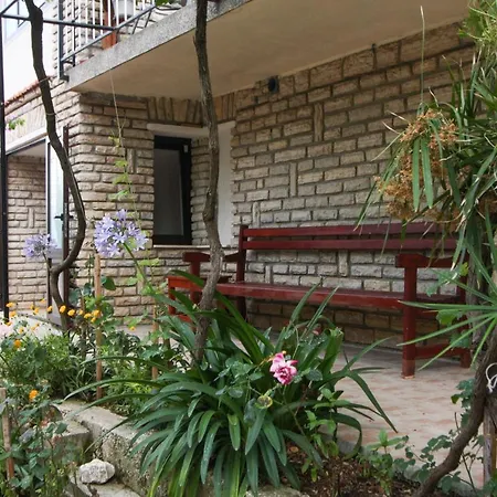 Zana טרוגיר